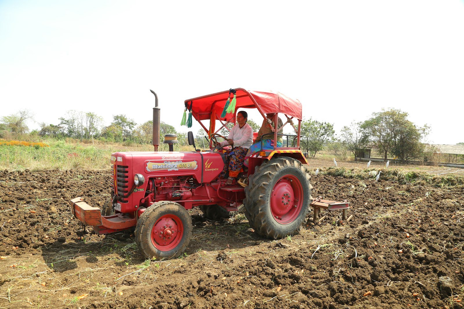 Farmer driving a red tractor across a ploughed field in India